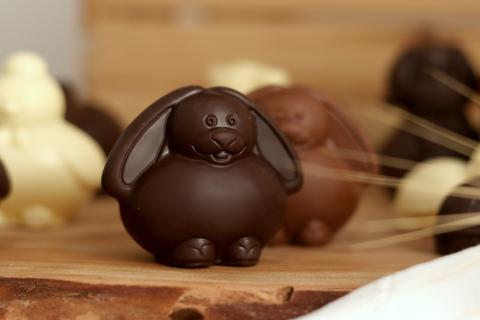 lapin chocolat © chocolaterie Castelain