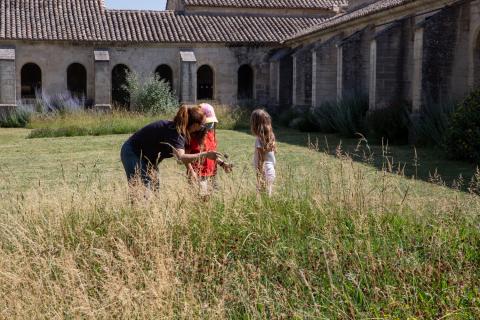 jeunes pousses 2021 © Alex Nollet - la Chartreuse