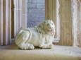 lion © Alex Nollet-La Chartreuse