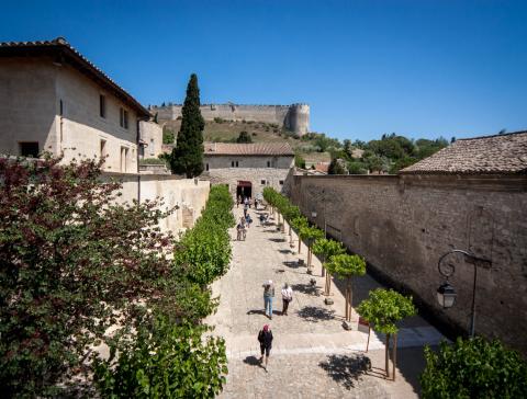 La Chartreuse © Alex Nollet/La Chartreuse