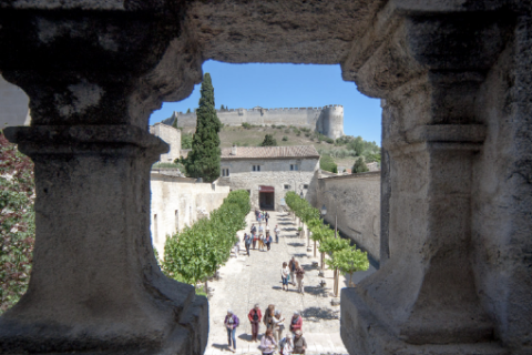 Allée des mûriers © Alex Nollet