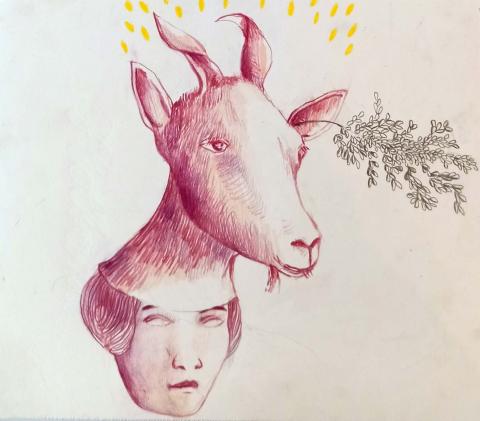 exposition "être chèvre" © Estelle Lacombe exposition "être chèvre" © Estelle Lacombe