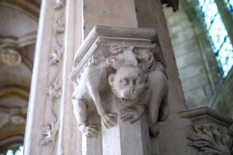 détail chartreuse © Alex Nollet la Chartreuse