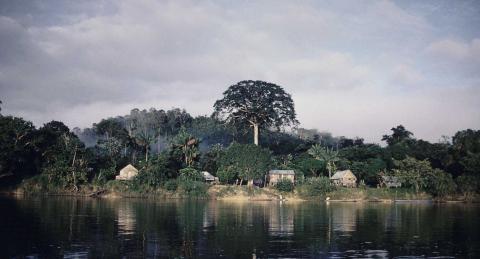 © Mathieu Kleyebe Abonnenc