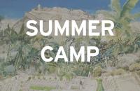 visuel summer camp 2