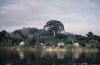 © Mathieu Kleyebe Abonnenc